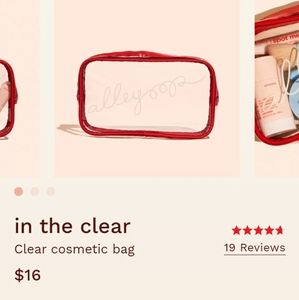 Alleyoop clear cosmetic bag